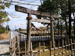 樹木神社の参拝記録(新コージさん)