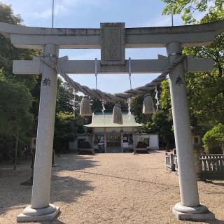 津島神社の参拝記録(ワヲンさん)
