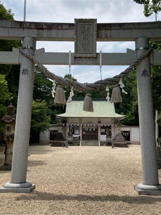 津島神社の参拝記録(⛩️anco🍧さん)