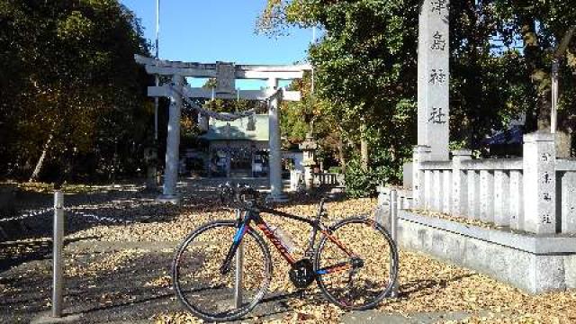 愛知県豊田市桝塚西町北屋敷51 津島神社の写真12