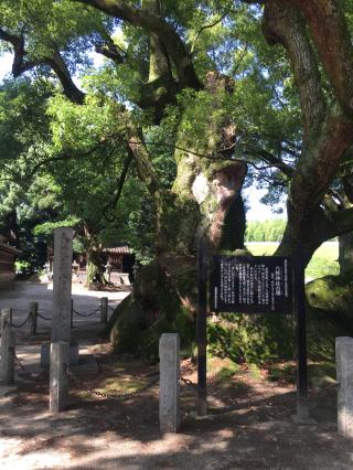 八柱神社の参拝記録(ボスさん)