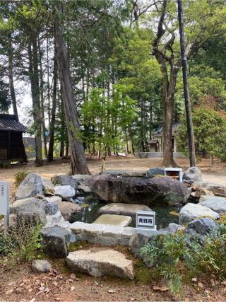 糟目春日神社の参拝記録(yj さん)