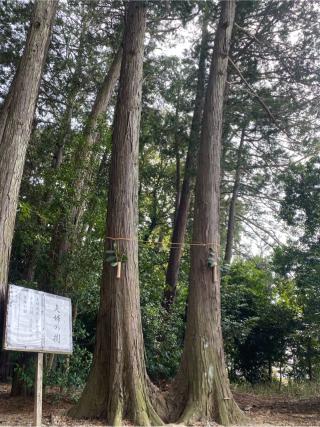 糟目春日神社の参拝記録(yj さん)