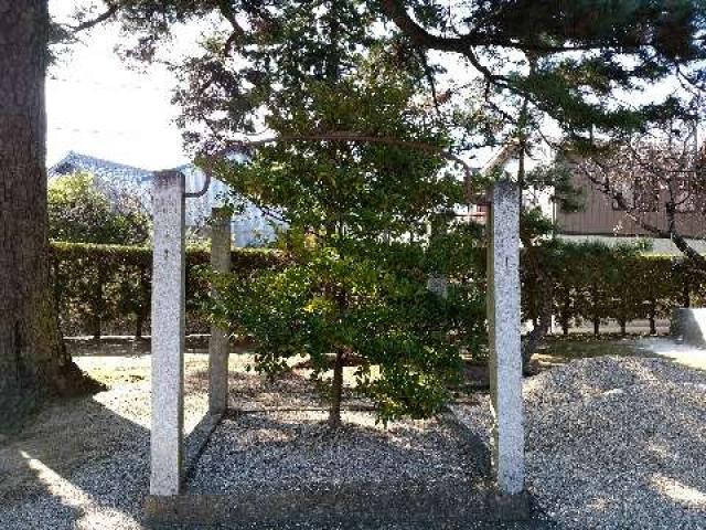 愛知県豊田市駒場町西埜中123番地3 神明社（駒場神明社）の写真9