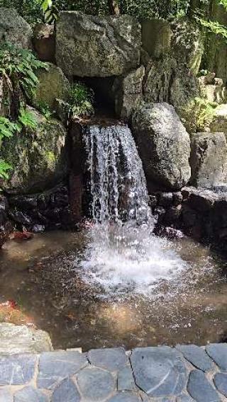 椿大神社の動画2