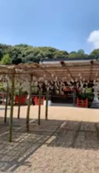 龍田大社の動画1