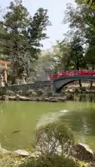 伊太祁曽神社(紀伊國一宮)の動画1