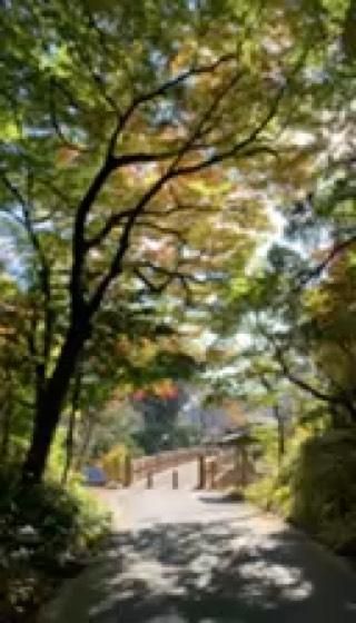 田村神社の動画1