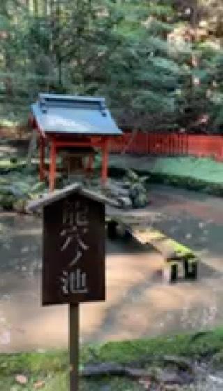 石光山 石山寺(西国第十三番)の動画3