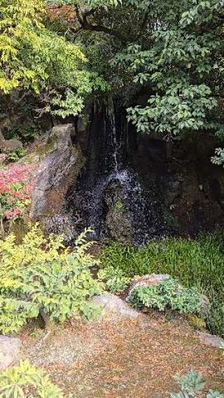 北山 鹿苑禅寺（金閣寺）の動画1