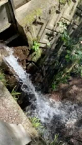 天野山 金剛寺の動画3