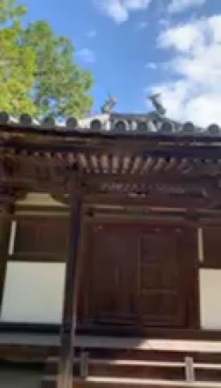 大悲山 慈眼院 願成就寺(慈眼院)の動画1