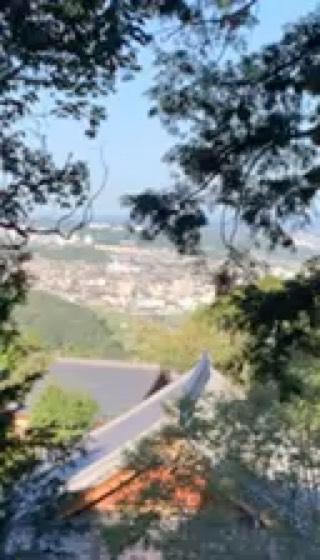 獨鈷山 鏑射寺(甘樂寺)の動画1