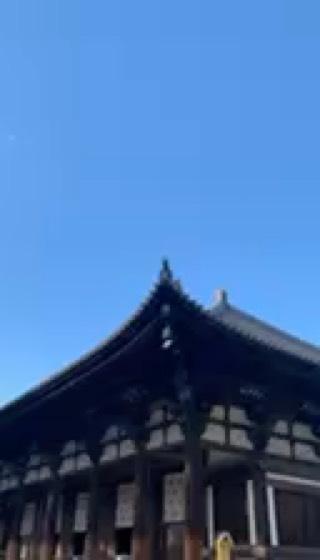 唐招提寺の動画1