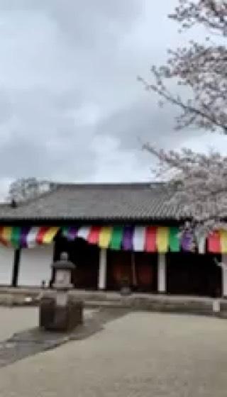 日輪山 新薬師寺の動画1