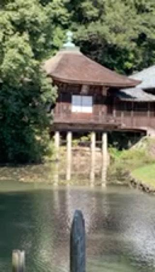 一乗山 大伝法院 根来寺の動画1