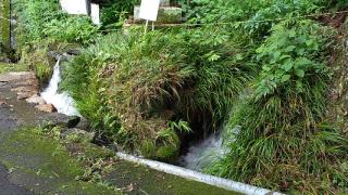 養老神社の動画1